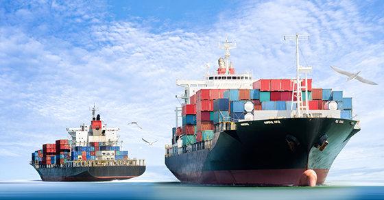 Container Cargo ship in the ocean with Birds flying